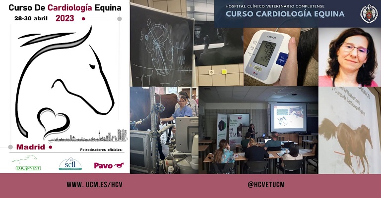 CURSO CARDIOLOGÍA EQUINA